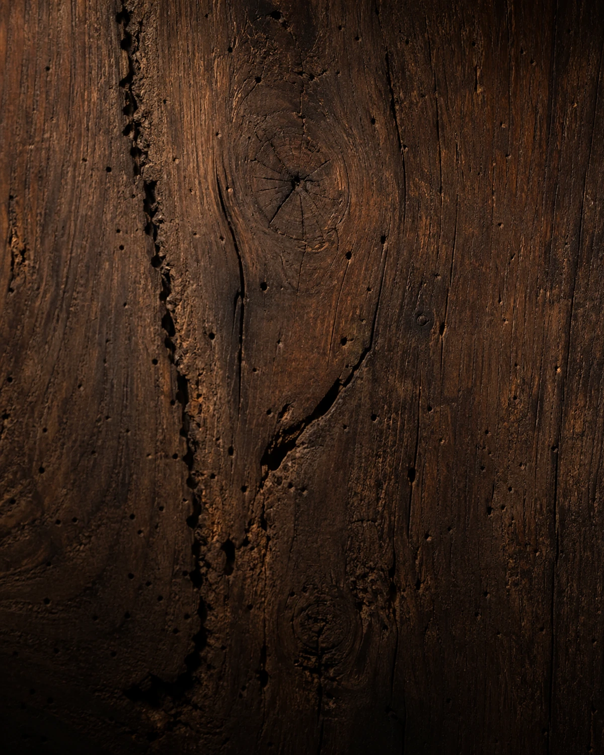 Dettaglio ravvicinato di venature, nodi e piccole crepe del legno